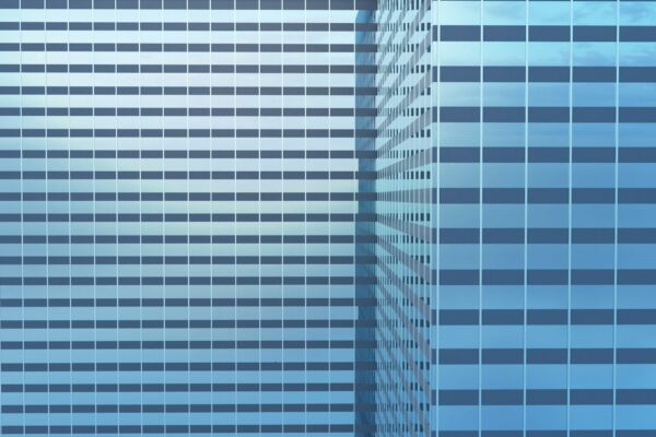 AI Pet Health Business: Home Diagnostics, Big Impact, Lean Start.