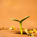 AI-Powered Small Farm Tech: Diagnose, Insure, & Thrive.