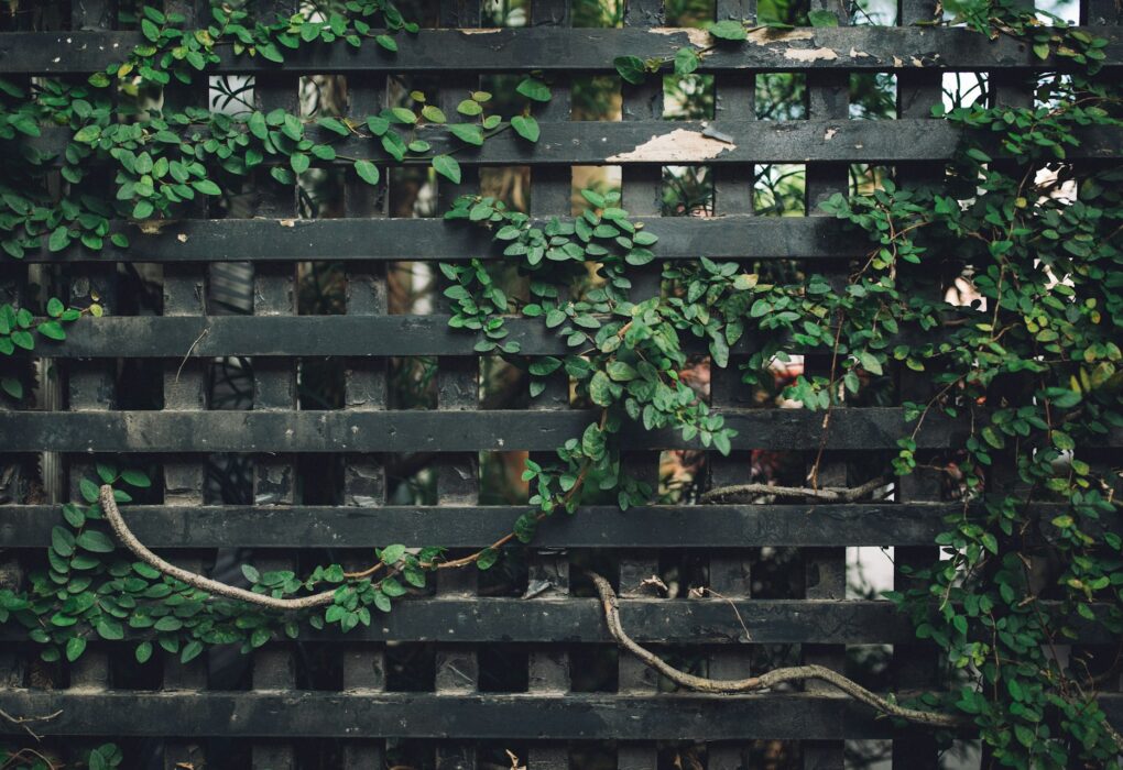 Unlock Green Business: Micro-Asset BNPL, Tokenized, $10K Launch.
