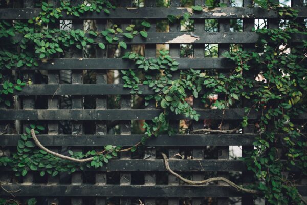 Unlock Green Business: Micro-Asset BNPL, Tokenized, $10K Launch.