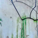 Your AI Expert: Green Algorithm for Sustainable, Profitable Business Growth.