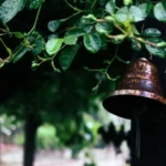 Launch Your Hyperlocal Engine: Connect Tenants, Power Local Commerce.