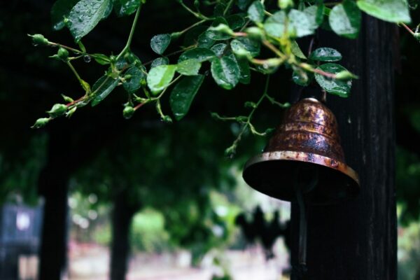 Launch Your Hyperlocal Engine: Connect Tenants, Power Local Commerce.