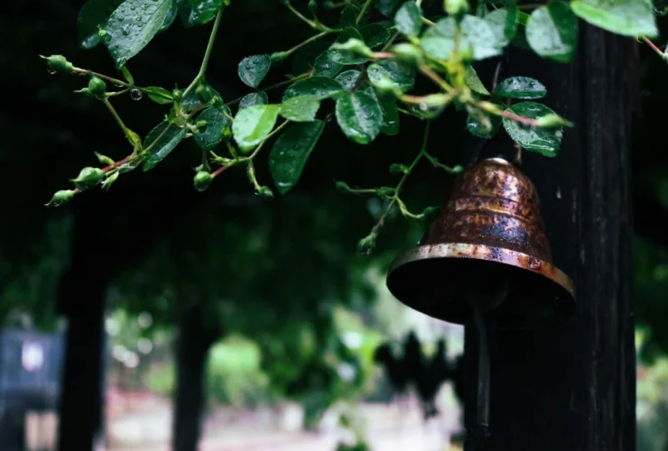 Launch Your Hyperlocal Engine: Connect Tenants, Power Local Commerce.