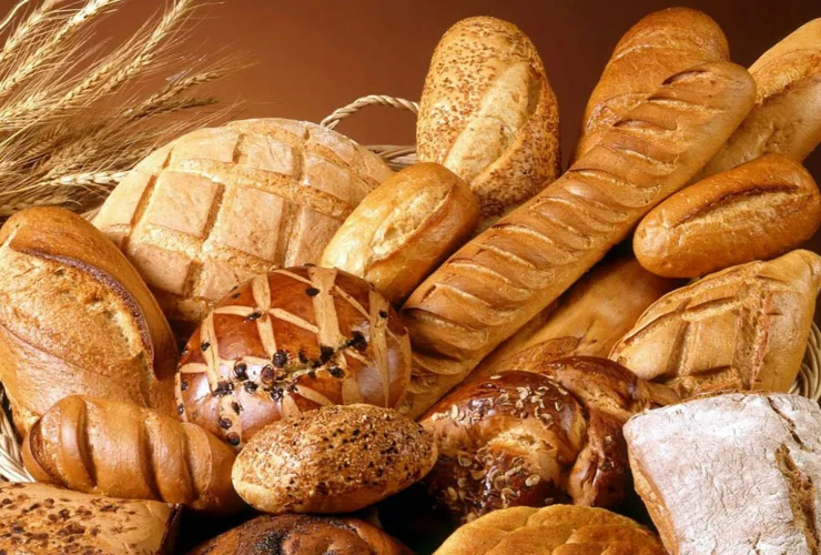 Agri-Tech Startup: Build a Transparent, DAO-Powered Food Future.