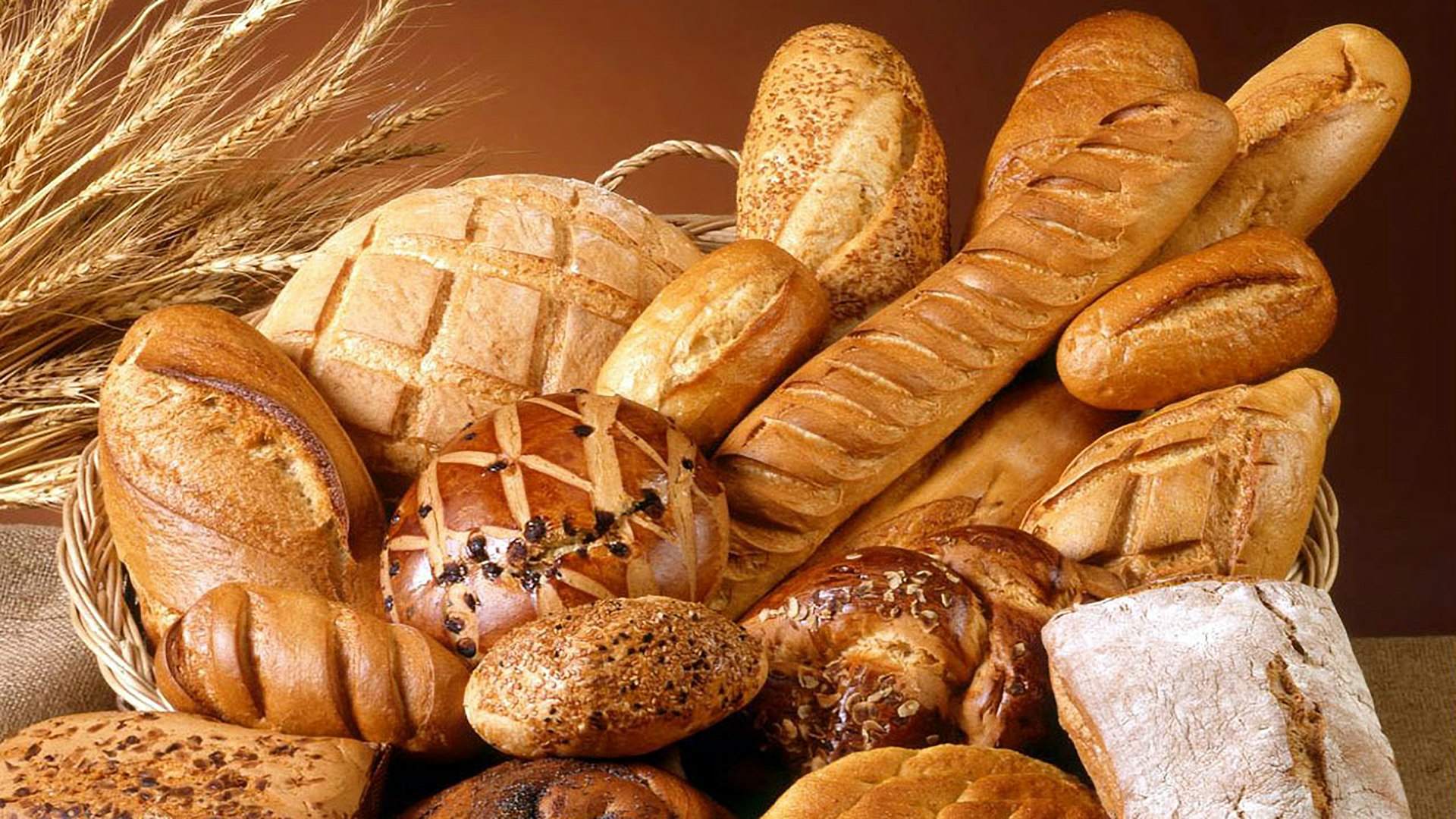 Agri-Tech Startup: Build a Transparent, DAO-Powered Food Future.
